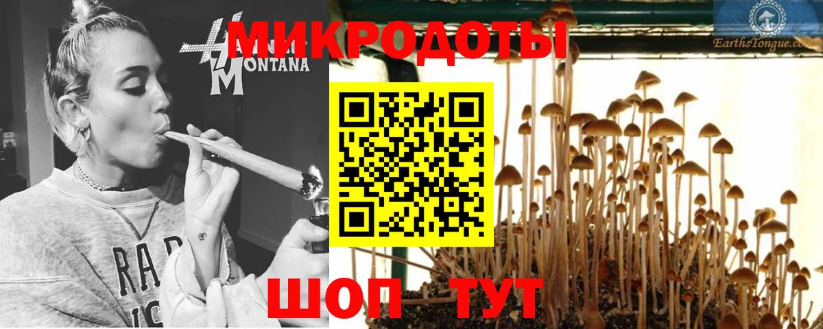 Арзамас  Галлюциногенные грибы Psilocybe  Вход с VPN  Псилоцибиновые грибы мухоморы 